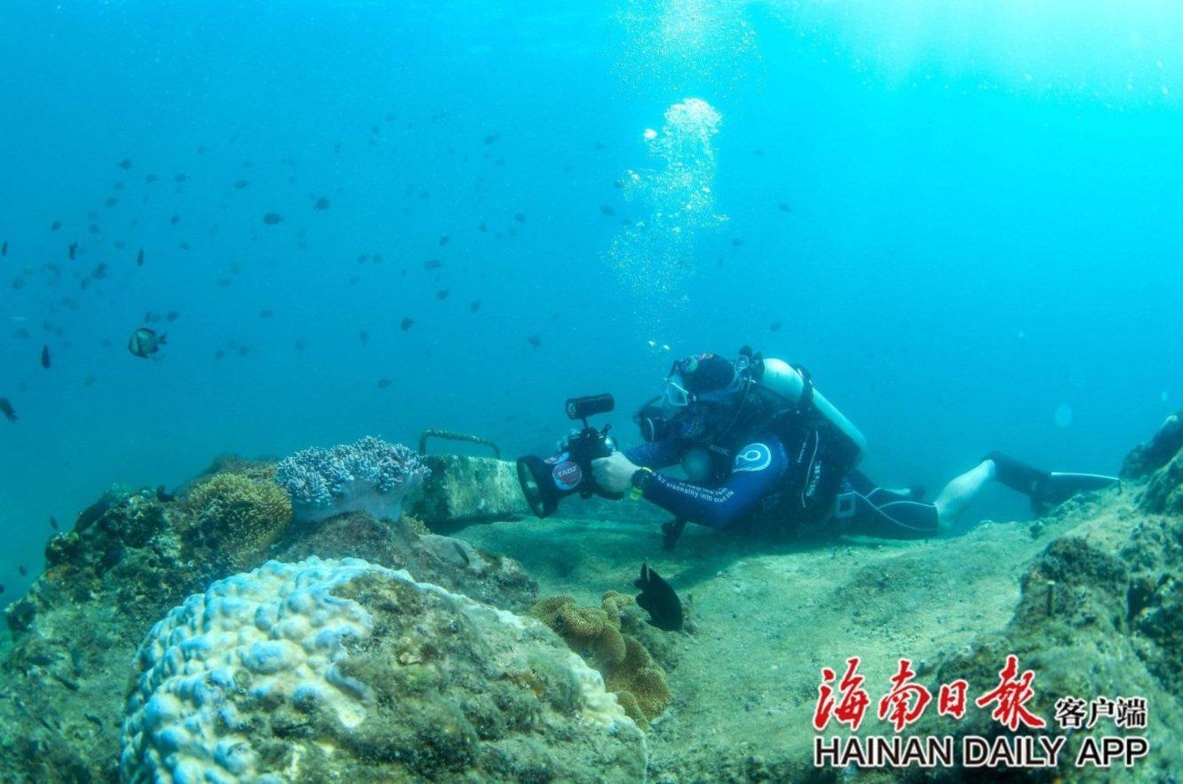 迷失在荒野