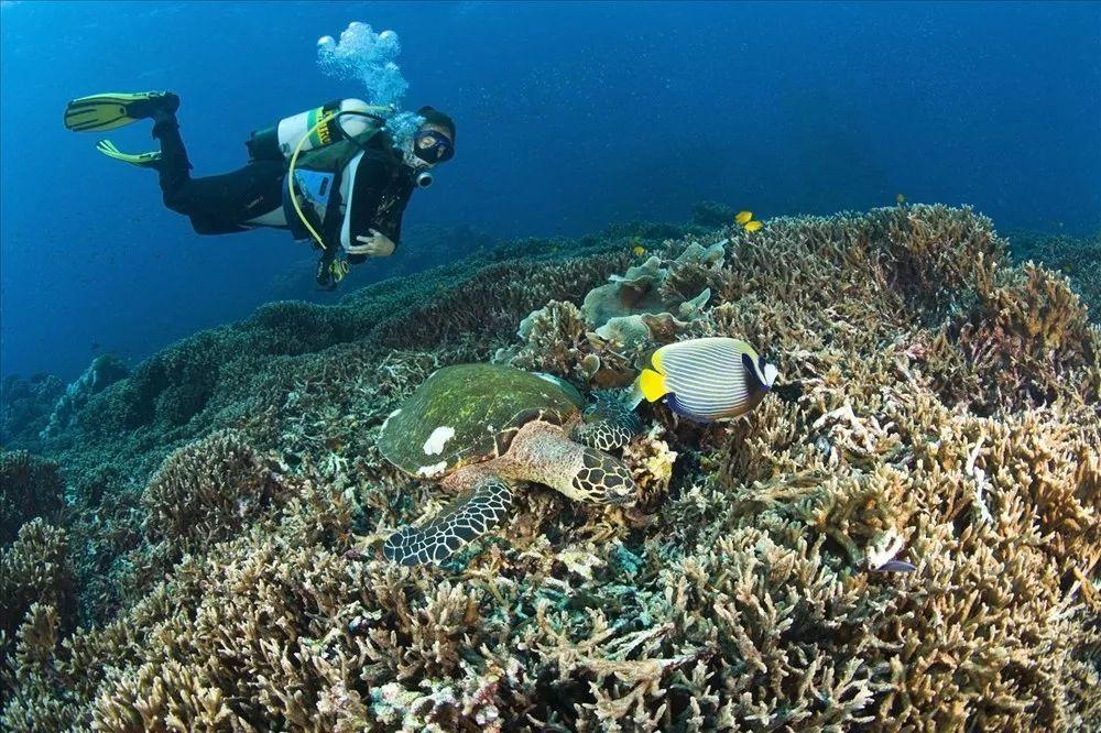 孙绍骋调研全面贯彻铸牢中华民族共同体意识主线工作 张延昆参加