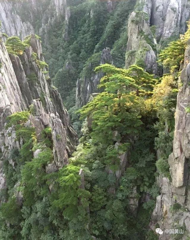 超级食肉男孩